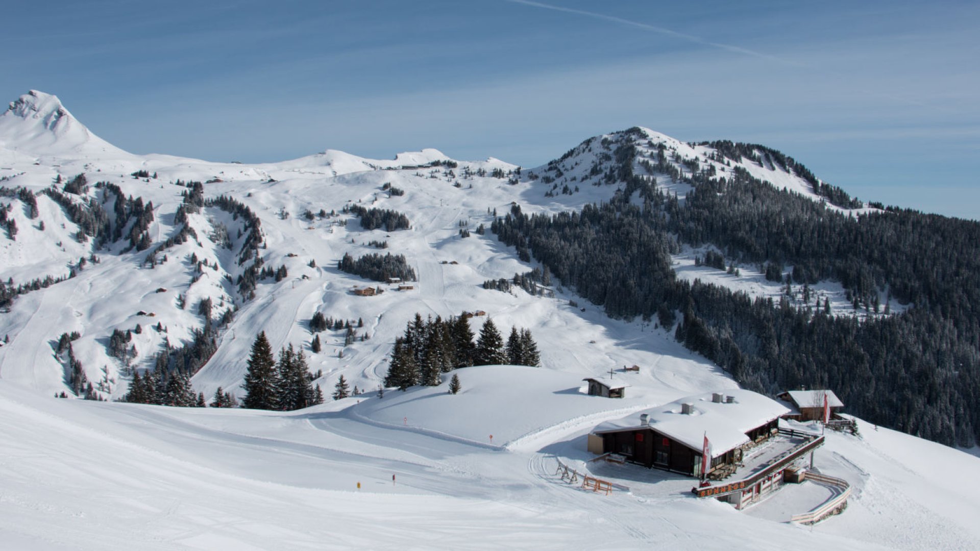Freitag Frei - ab auf die Piste! Dam&uuml;ls-Mellau