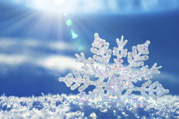 Winterer&ouml;ffnung im Bindhof