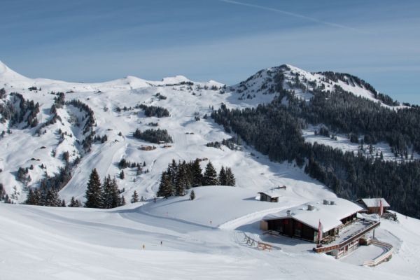 Freitag Frei - ab auf die Piste! Damüls-Mellau